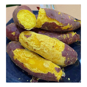 Proveedor confiable de batata morada congelada IQF de Vietnam con precios directos de fábrica y calidad de exportación consistente - Product Image 1