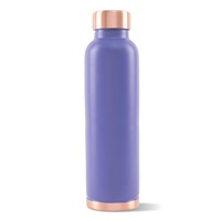 Botol Air Logam Ungu Dengan Tutup Dan Alas Tembaga Desain Minimalis Wadah Minum Portabel Untuk Perjalanan