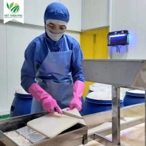 Nata de coco brut du Vietnam, approvisionnement en vrac pour la fabrication de gelées et de produits alimentaires - Product Image 4