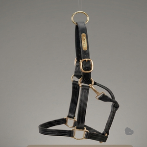 Personalized <b>Name</b> <b>Plate</b> Heavy Duty Double Ply Buffalo Leather Horse Halter with Solid Adjustable Brass Hardware - Product Image 5