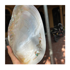 Assiette en nacre polie de qualité supérieure pour la décoration de mariages de luxe, les tables de restaurants d'hôtels, la présentation et la personnalisation de la marque - Product Image 1