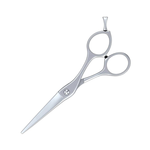 Ciseaux de Salon de Coiffure Haute Qualité Précision Design de Coupe Fournisseur en Gros ODM Nouvelle Arrivée 2026 - Product Image 2