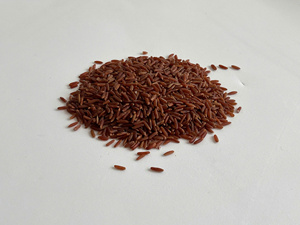 Arroz Integral Largo Orgánico Certificado HACCP de Vietnam |   Celeste VILACONIC Precio de Fábrica al por Mayor |   Arroz Saludable 12 Meses - Product Image 1