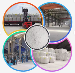 CACO3 Boat <b>Paint</b> Precipitated Calcium Carbonate Epoxy-Based Powder for Industrial Coatings Fast Delivery From NGHE an Vietnam - Product Image 1