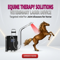 Appareil combiné de thérapie par lumière rouge 2 en 1 pour les articulations et les os des chevaux, PMST NEO PhysioMagneto pour chevaux