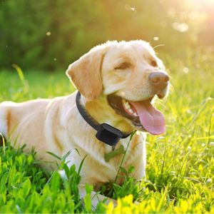 Sistema di Recinzione Elettrica per Cani con Collare Ricevitore, Solo Filo, Opzioni Pro, Filamento in Plastica per Stampante 3D - Product Image 6