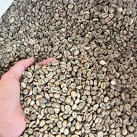 Café Vert Robusta du Vietnam, Café Instantané Pur du Vietnam, Grains de Café de Taille 20, Export en Vrac, Fournisseur de Café à Saveur Forte