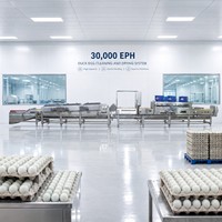Système de nettoyage et de séchage des œufs de cane 30000 EPH Équipement de transformation alimentaire
