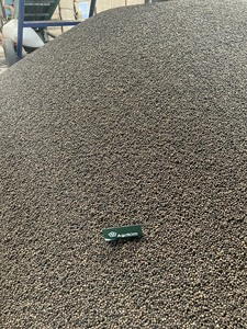 Pimienta negra seca de la mejor calidad al por mayor de Vietnam hierbas naturales y especias procesadas + 84 359318390 - Product Image 2