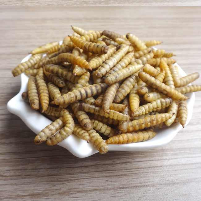 干黑兵蝇幼虫BSF昆虫厂批发宠物食品| Alibaba.com