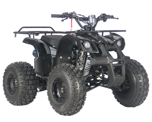 <span class=keywords><strong>Quad</strong></span> électrique tout-terrain 110cc pour enfants et jeunes, nouveau design, vente en gros, certifié CE, directement de l'usine - Product Image 3