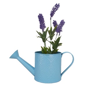 Nouvelle Arrosoir en Métal Tendance pour l'Entretien des Plantes de Jardin, Pot à Eau Durable avec Long Bec, Taille et Couleur Personnalisables - Product Image 1
