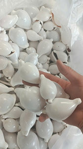 Cowrie Shell Bulk Natural Seashell Vietnam Supplier for Jewelry Making DIY Craft and Ocean Theme Decor - Product Image 5
