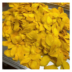 มะม่วงอบแห้งพรีเมียม ผลิตจากมะม่วงธรรมชาติคัดสรรพิเศษ รสชาติหวานอมเปรี้ยวเข้มข้น เหมาะสำหรับการส่งออกจำนวนมากและตลาดขายส่ง - Product Image 1