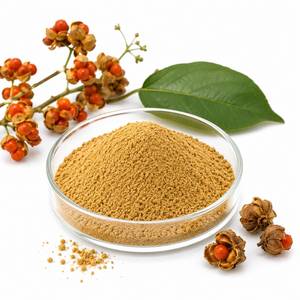 Proveedor de Materia Prima Herbal Premium, Extracto de Celastrus Paniculata en Polvo, Ingrediente Natural para Productos de Bienestar Cognitivo, OEM - Product Image 6