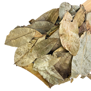 Thé aux herbes de qualité supérieure, feuilles de thé fabriquées à partir de feuilles séchées soigneusement sélectionnées, offrant un arôme propre, une saveur douce et une infusion claire. - Product Image 5