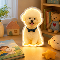 Personalisierte 3D-Induktionslampe für Heimdekoration im Schlafzimmer und als Geschenk für die Feiertage