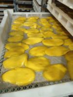 Tranches de mangue séchées, fruits secs sucrés, en vrac, Vietnam Techmifood, pour détaillants, importateurs, distributeurs alimentaires