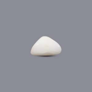 Natural White Coral Beads 6.1 Carat Certified Wholesale Quality - Product Image 3