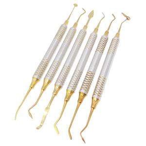 Kit de 6 espátulas para relleno de resina compuesta dental, con cabezal recubierto de titanio o oro, para rellenar resinas, de Blush Surgical - Product Image 6
