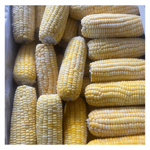 Maíz Congelado en Fábrica IQF, Empaque a Granel, Ideal para Ensaladas y Guarniciones Frías, Origen Vietnam, Corte Preciso, Preparación Rápida - Product Image 3
