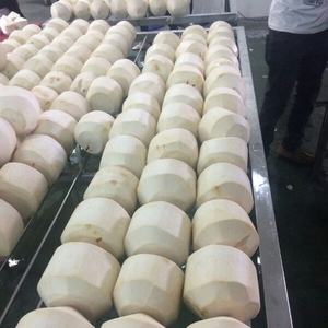 Fresco giovane e profumato cocco | Tailandese aromatico a forma di diamante | Top Export giovane cocco in Thailand, cina | Dolce e fragrante - Product Image 3