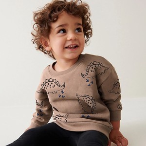 Conjunto Deportivo Informal de Primavera para Niños |   Conjunto de Pantalones y Sudadera con Capucha de Algodón Transpirable Unisex, Nuevo Diseño, Traje Deportivo para Niños de Primavera |   Sudadera con Capucha de Moda - Product Image 4