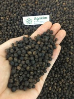 Fournisseur 5 étoiles propose des épices de poivre noir de qualité supérieure, séchées, transformées par procédé AD, certifiées ISO, traitement brut, meilleur prix