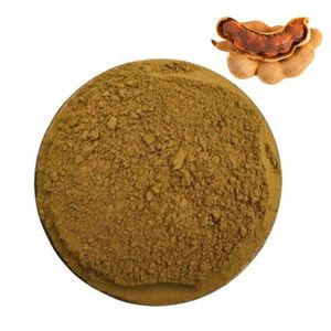 Polvo de Extracto de Tamarindo Deshidratado de Calidad Superior, Grado Alimenticio, Ideal para Mezclas de Condimentos y Especias - Product Image 1