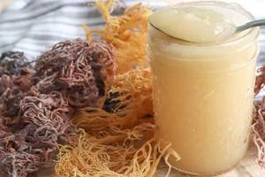เจลสาหร่ายทะเลออร์แกนิกคุณภาพสูง เจลสาหร่ายไอริชสด อาหารเสริมจากธรรมชาติ ขายดี ราคาสุดคุ้ม - Product Image 3