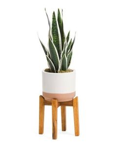 Maceta Moderna de Resina con Patrón Circular y Acabado Glaseado para Plantas de Interior, con Soporte de Madera, Diseño Minimalista en Blanco y Beige - Product Image 3