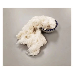 Proveedor de algodón natural crudo a granel para la industria textil - Product Image 1