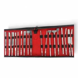 Kit de 20 Piezas de Cinceles Ortopédicos para Huesos, Instrumentos Quirúrgicos de Acero Inoxidable, Juego de Hospital para Uso Veterinario, Marca SURGINEXA - Product Image 1