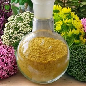 <b>Best</b> Seller High Premium AuE Thai Herbal MIT 80% Leaf Extract Powder Solvent Extracted Pharmaceutical Grade Vacuum Planting - Product Image 2
