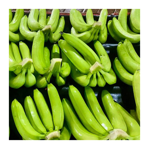 Plátano Cavendish Verde Orgánico, Producto Fresco Natural para una Dieta Saludable, Cocina y Exportación - Product Image 1