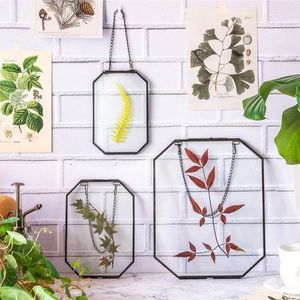 Marco colgante vintage de latón y vidrio de doble cara para especímenes botánicos, decoración de pared para el hogar. - Product Image 4