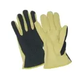 เครื่องมือทางการแพทย์สำหรับเด็กสแปนเด็กซ์ใช้ในสัตวแพทย์อุปกรณ์สำหรับปลูกถ่ายแบบเดนติกจากปากีสถาน - Product Image 1