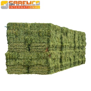 High Protein Rhodes <b>Grass</b> Hay Bales for Livestock Nutrient Enriched Rhodes <b>Grass</b> Hay for Sheep Goat Horses <b>Dried</b> Animal Feed - Product Image 6