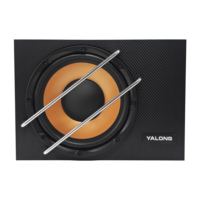 Subwoofer actif pour voiture, design fin, sous le siège, haut-parleur de basses alimenté 12V, subwoofer audio pour véhicule, boîtier en bois, OEM ODM