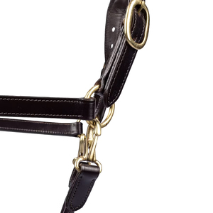 Cabestro para Caballo Estilo Inglés de Alta Calidad, Tamaño Personalizable, Diseño Ajustable y Cómodo - Product Image 5