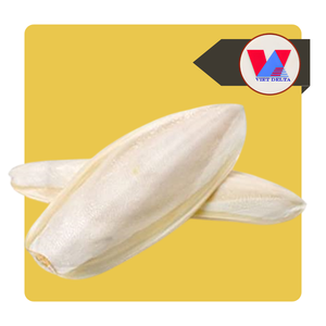 DISPONIBLE Hueso de Sepia 100% Natural de 12-15cm, Hueso de Sepia Seco Entero para Aves, Juguete Masticable para Loros y Aves - Product Image 1