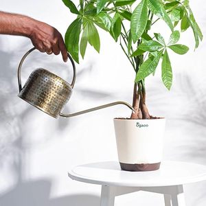 Regadera de Latón Antigua Hecha a Mano con Boquilla Larga y Asa Redonda, Regadera Decorativa de Metal para Plantas de Interior y Exterior - Product Image 6