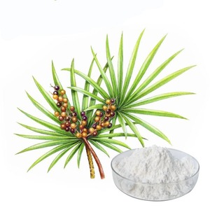 Polvo de Sawpalmetto de grado alimenticio de alta calidad, líquido supercrítico extraído, ingrediente activo de vitamina herbal para embalaje de latas - Product Image 2