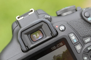 Fotocamera DSLR Professionale 2000D Rebel T7 con Obiettivo 18-55mm, Wi-Fi Integrato, Sensore CMOS da 24.1 MP, Video Full HD, Batteria Ricaricabile - Product Image 6