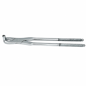 Forceps dentaire vétérinaire en acier inoxydable de qualité supérieure pour fragments équins, précis, à profil mince, réutilisable - Product Image 2