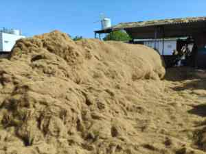 Fibras de Coco 100% Orgánicas Naturales en Pacas, Cuerda Premium para Construcción y Colchones, Comprimida, Venta al Por Mayor desde Tamil Nadu - Product Image 2