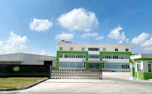 Equipo moderno de procesamiento directo de fábrica-Rollos Jumbo LLDPE Película de PE elástica transparente rígida de alta dureza Película de plástico suave - Product Image 3