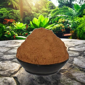 Extracto de nuez de areca en polvo - Product Image 5