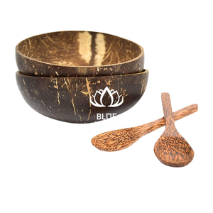 Bol en Coque de Noix de Coco Naturelle Écologique Fait Main, Vaisselle Bio pour Smoothies – Meilleure Vente - Product Image 1