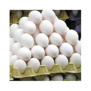 Huevos Frescos de Gallina de Granja/Huevos Frescos de Gallina a Buenos Precios - Product Image 3